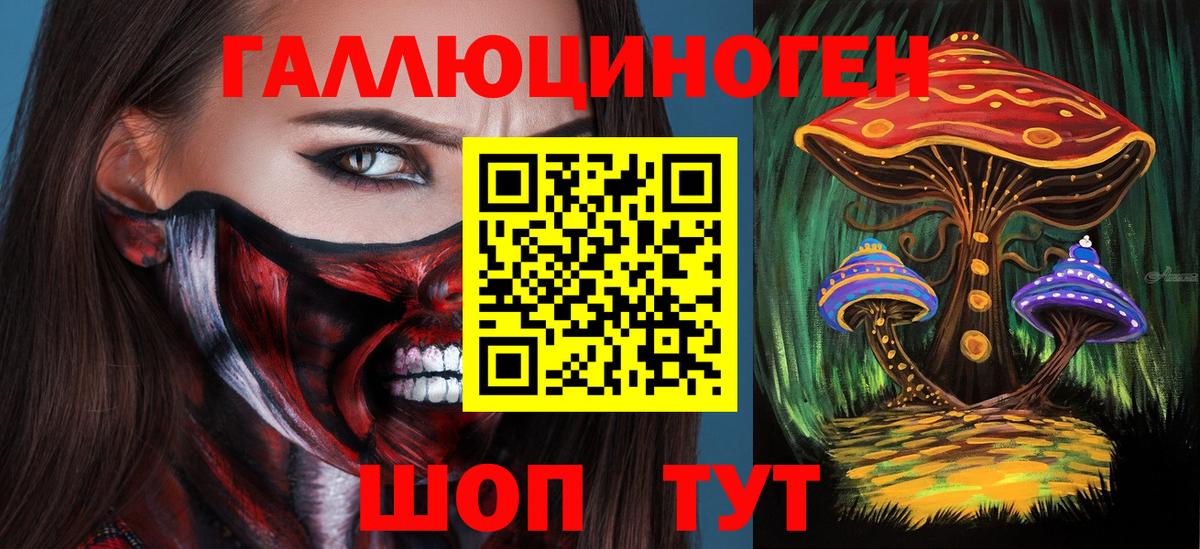 Биробиджан  Псилоцибиновые грибы мицелий  Вход с VPN  Псилоцибиновые грибы MAGIC MUSHROOMS 