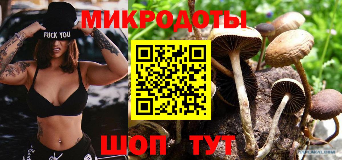 Псилоцибиновые грибы Psilocybine cubensis Биробиджан
